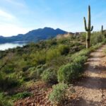 Mesa: Saguaro Lake View Hike - An In-Depth Look at the Saguaro Lake View Hike