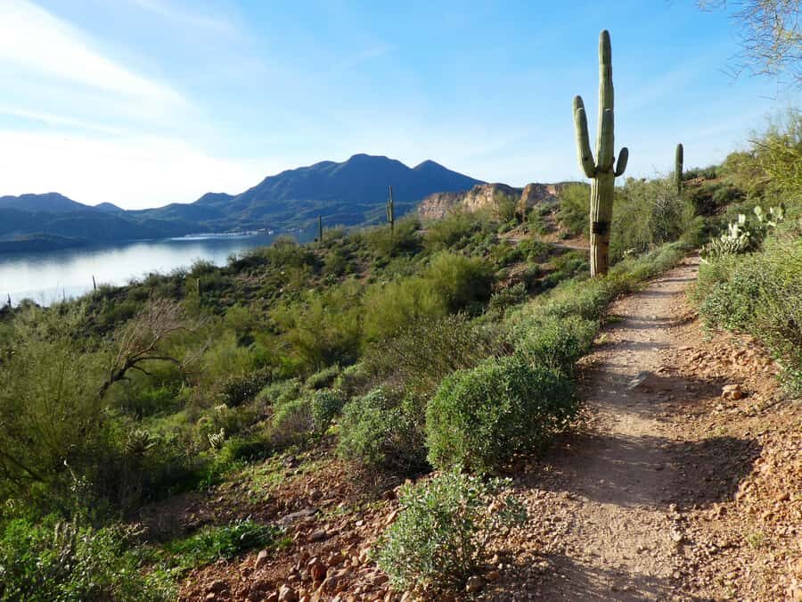 Mesa: Saguaro Lake View Hike - An In-Depth Look at the Saguaro Lake View Hike