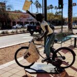 Mesa Sculpture, Museum, Gardens & Dessert Trail - FAQ