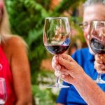 Mexican Wine Tasting & Aroma Sensory Experience - The Value and Practicalities