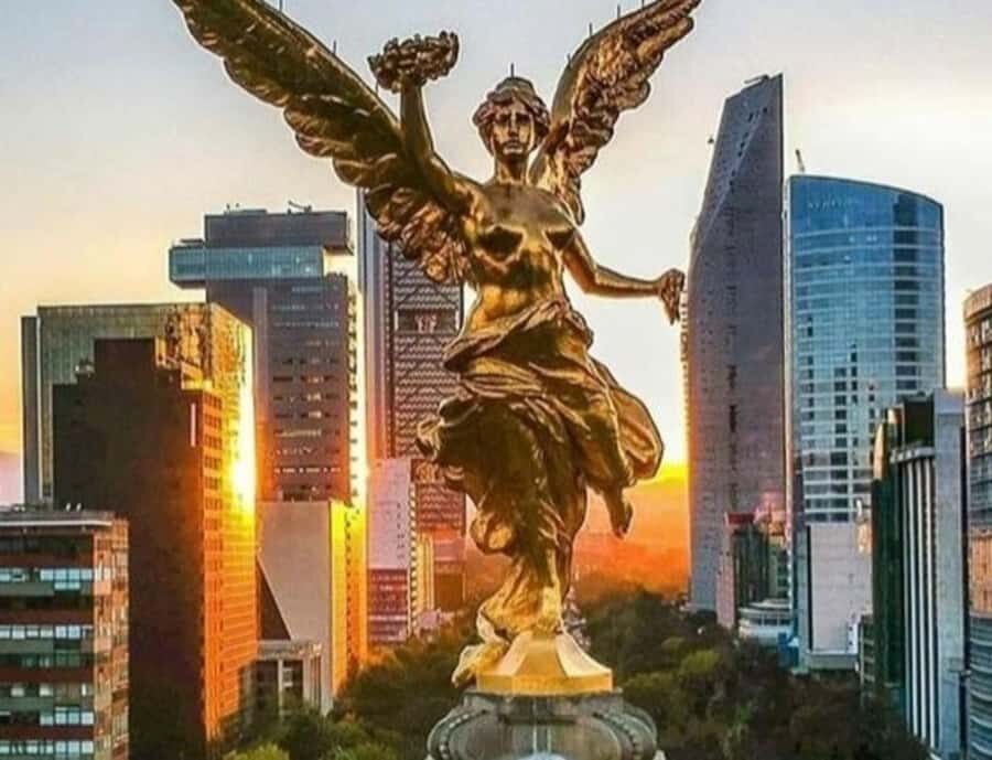 Mexico : Best Street Food Tour With A Local Guide - Who Will Love This Tour?