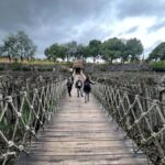 Mexico City: Basaltic Prisms, Peña del Aire, and Huasca - An In-Depth Look at the Tour Experience