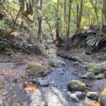 Mexico City: Cascada de Hueyapan Private Hiking Tour - The Sum Up