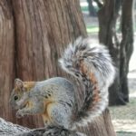 Mexico City: Chapultepec Park Bike Tour - Who Will Love This Tour?