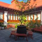 Mexico City: Entrance to the Frida Kahlo Museum, Anahuacalli Museum, and Casa Kahlo - Exploring Frida Kahlo’s House and Life: What You Can Expect