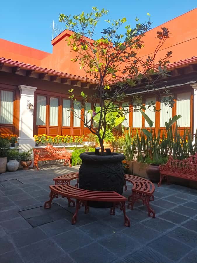 Mexico City: Entrance to the Frida Kahlo Museum, Anahuacalli Museum, and Casa Kahlo - Exploring Frida Kahlo’s House and Life: What You Can Expect