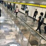 Mexico City: Fine Arts, Alabama Park, Science Museum Tour. - Practical Details and Travel Tips