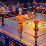 Mexico City: Lucha Libre Show & Pulque Tasting Tour - Final Thoughts on the Mexico City Lucha Libre & Pulque Tour
