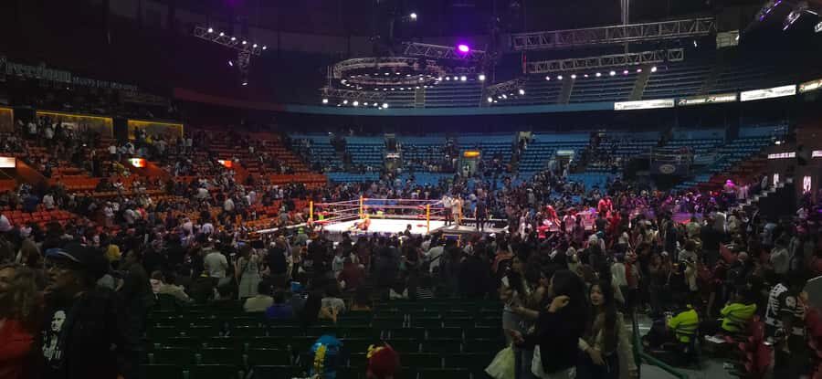 Mexico City: Lucha Libre Show with Hotel Pickup - Who Will Love This Tour?