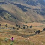 Mexico City: Mipulco Waterfalls Private Trekking Tour - Final Thoughts: Is It Worth It?