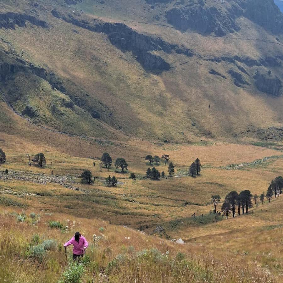 Mexico City: Mipulco Waterfalls Private Trekking Tour - Final Thoughts: Is It Worth It?