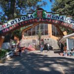 Mexico City: Monarch Butterfly Sanctuary Visit with Transfer - Horseback Riding and Viewing Spots