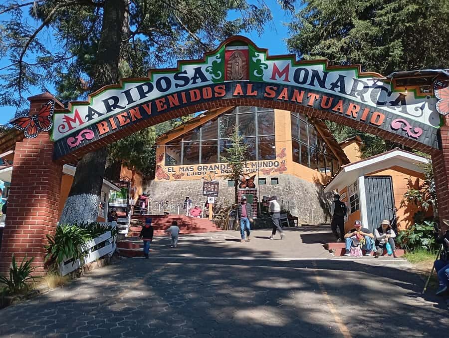 Mexico City: Monarch Butterfly Sanctuary Visit with Transfer - Horseback Riding and Viewing Spots
