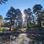 Mexico City: Nahualac Lagoon Private Hiking Tour - Practical Details and Value