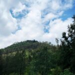 Mexico City New Fire Pyramid adventure with local food tastings - What Reviewers Say