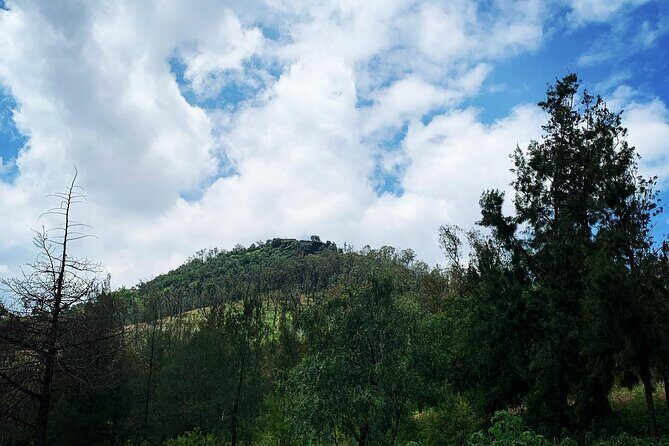 Mexico City New Fire Pyramid adventure with local food tastings - What Reviewers Say