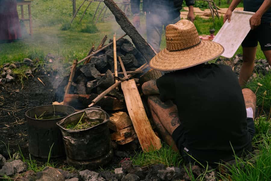 Mexico City: Temazcal Ceremony and Rapé Ceremony - A Deep Dive Into the Experience