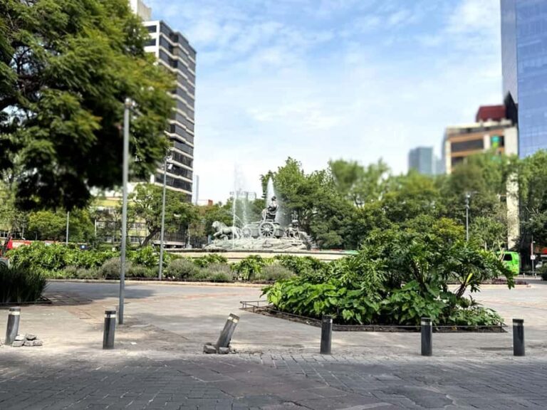 Mexico City: Tuktuk Tour  Roma Condesa - Why Travel With This Tour?