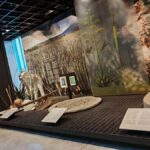 Mexico City: Vegan/Veggie Lucha Libre, Cantinas and Mariachi - Deep Dive into the Itinerary