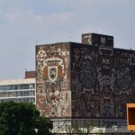 Mexico City: Xochimilco, Coyoacan & Frida Kahlo with Lunch - The Sum Up: Is This Tour Right for You?