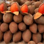 Mexico's Tropical Fruit Guided Tasting in Mexico City - A Closer Look at the Mexicos Tropical Fruit Guided Tasting