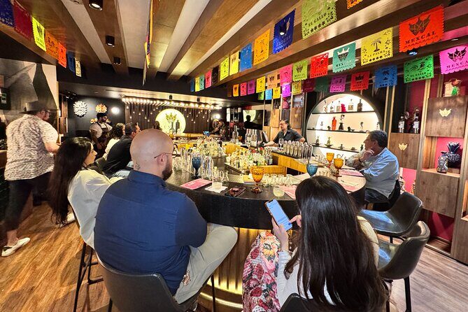 Mezcal Tasting Mexico City and Cocktail Masterclass - Who Should Consider This Tour?