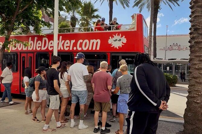 Miami City Sightseeing: Open Top Double Decker Bus Tour - What Travelers Are Saying