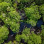 Miami: Clear Kayak Eco Tour with Guide and Wildlife - Who Will Love This Tour?