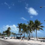 Miami: Day Tour of the Keys in a Convertible Mustang (French) - Who Will Love This Tour?