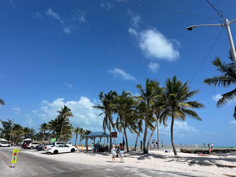 Miami: Day Tour of the Keys in a Convertible Mustang (French) - Who Will Love This Tour?