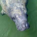 Miami: Everglades National Park Kayaking & Hiking Tour - What sets this tour apart?