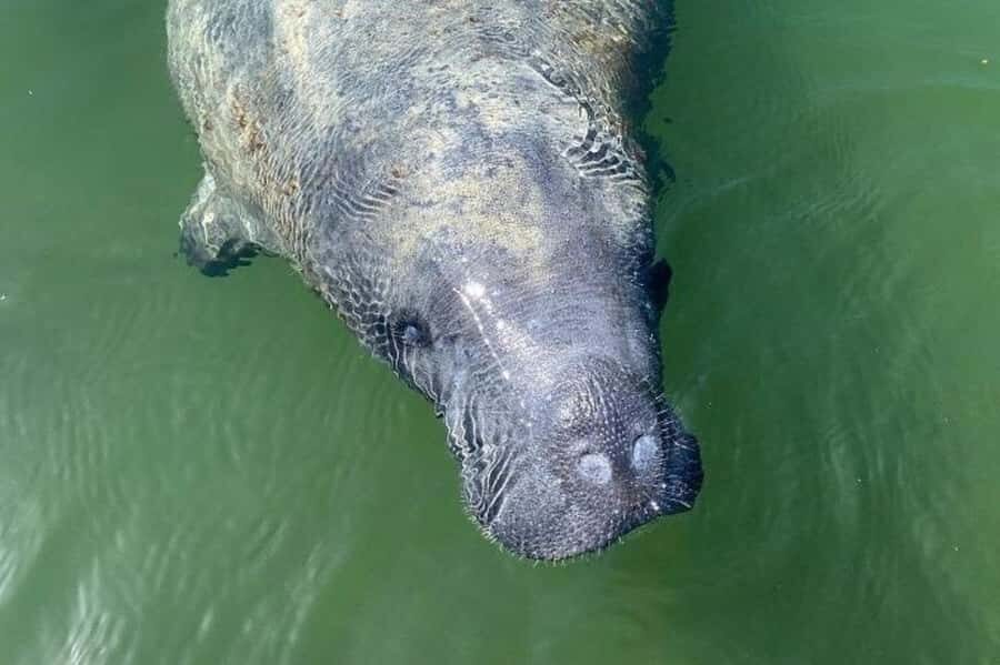 Miami: Everglades National Park Kayaking & Hiking Tour - What sets this tour apart?