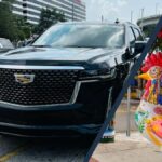 Miami: Explore Magic City in Style  2-Hour VIP Tour - Who Should Consider This Tour?