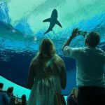 Miami: Frost Museum of Science and Planetarium Entry Ticket - Frequently Asked Questions