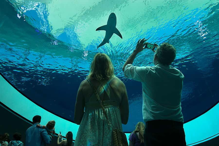 Miami: Frost Museum of Science and Planetarium Entry Ticket - Frequently Asked Questions