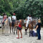 Miami: Horseback Riding in South Beach - What to Expect: A Step-by-Step Breakdown