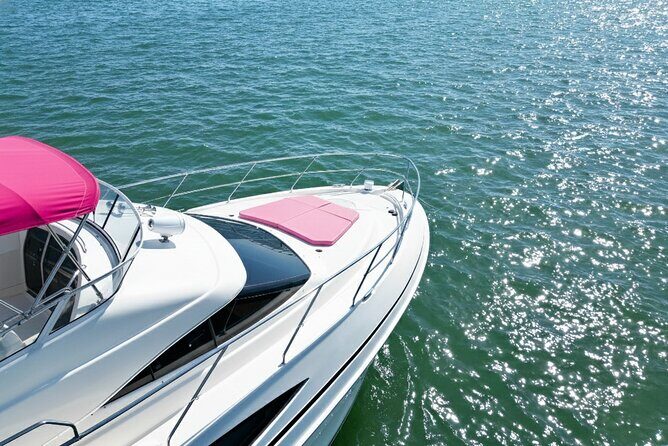Miami Yacht Rental 50 ft | 2 Jet Ski | Private Boat | Pink Yacht - Who Should Consider This Tour?