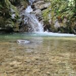 Mindo Cloud Forest Full Day (flexible itinerary) - Why Travelers Love This Tour