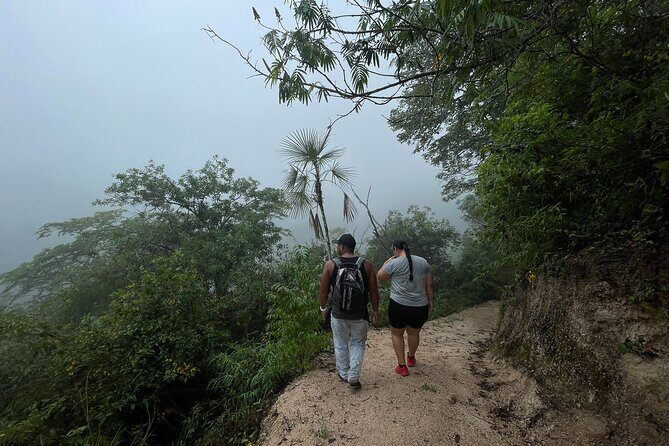 Mismaloya Waterfalls Jungle Hike Full Day Adventure - What Travelers Love About This Tour