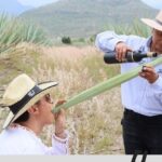 Mixer - Who Will Love This Tour?