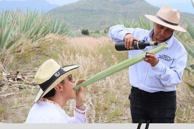 Mixer - Who Will Love This Tour?