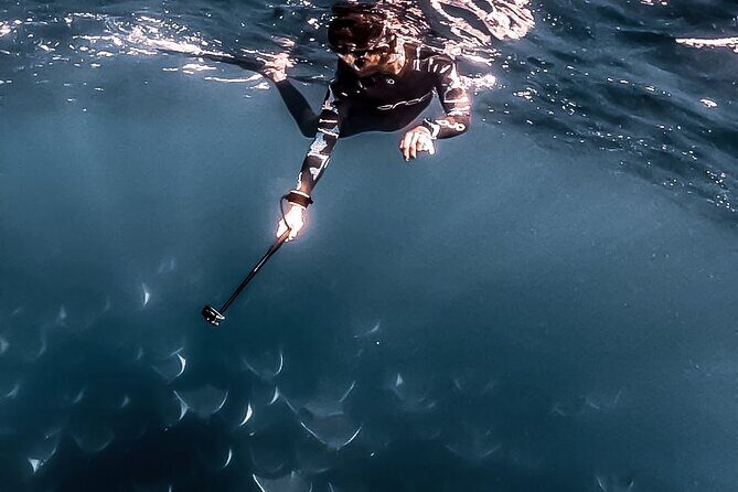 Mobula Ray Snorkeling with Photos Included - A Closer Look at the Mobula Ray Snorkeling Tour