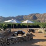 Moment Tour Tasting Icon - The Experience: What You Can Expect from the Moment Tour Tasting Icon