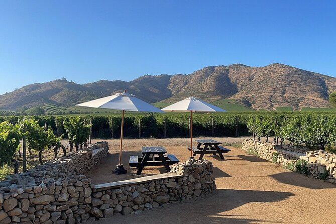 Moment Tour Tasting Icon - The Experience: What You Can Expect from the Moment Tour Tasting Icon