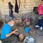 Monarch Butterflies Experience - Practical Details and What to Expect