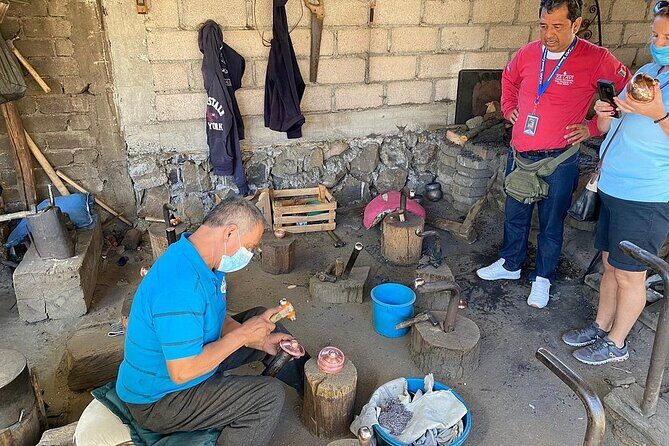 Monarch Butterflies Experience - Practical Details and What to Expect