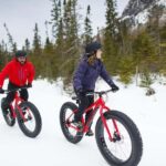 Mont-Saint-Bruno: Park Entry with Fat-bike and Snowshoeing - The Highlights of Mont-Saint-Bruno’s Winter Trails
