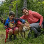 Mont-Tremblant: Sled Dog Hiking Experience - Exploring the Mont-Tremblant Sled Dog Hiking Experience in Detail