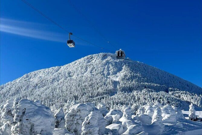 Mont Tremblant Winter Day Trip from Montreal - Who Will Love This Tour?