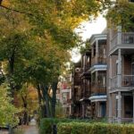 Montcalm & St. Jean Baptiste districts walking tour (2,5h) - Who should consider this tour?